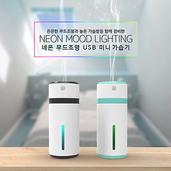 네온 무드조명 USB 미니 가습기
