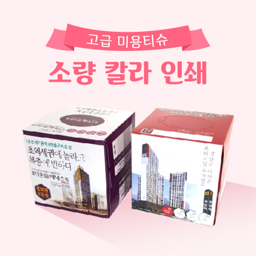정사각 고급 미용티슈 50매