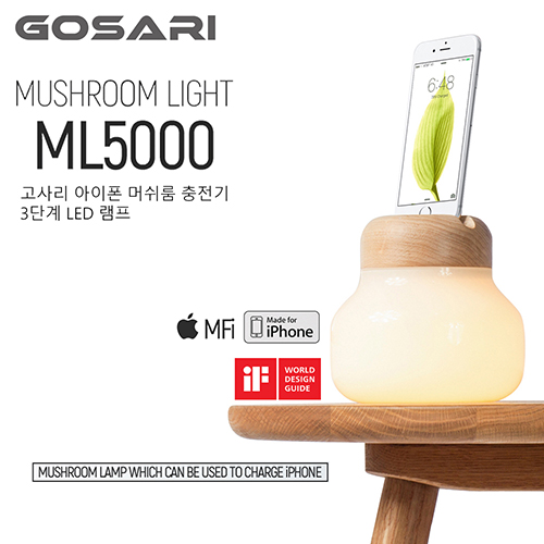 아이폰 전용 무드등 충전기 거치대 고사리 ML5000