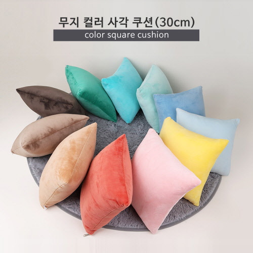 무지 컬러 사각 쿠션 30cm (11color)