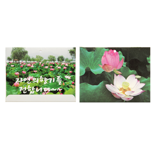 사세(멤브렌 방향제)-꽃_(가로형)