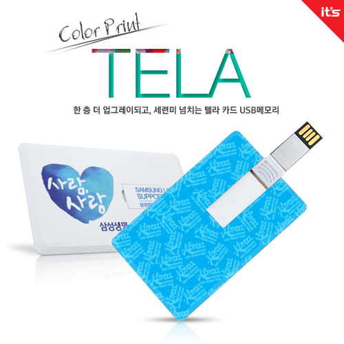 이츠 텔라(TELA) 카드형 USB